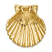 14K Yellow Gold Fits up to 10mm & 8mm Medium Scallop Shell Slide - (A90-453)