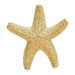 14K Yellow Gold Starfish Slide - (A90-210)