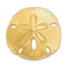 14K Yellow Gold Polished Fits up to 10mm & 8mm Medium Sand Dollar Slide - (A86-923)