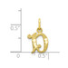 10K Yellow Gold Initial Letter D Charm Pendant - (A81-772)