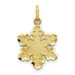 10K Yellow Gold Solid Satin Snowflake Charm - (A81-779)
