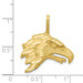 10K Yellow Gold Solid Diamond-cut Eagle Head Charm - (A81-968)