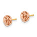 10k Tri-Color Gold Black Hills Gold Rose Post Earrings - (B36-213)