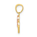 10K Two-tone Gold Small Sweet 15 Charm - (A82-286)