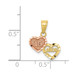 10K Two-tone Gold Small Sweet 15 Charm - (A82-286)