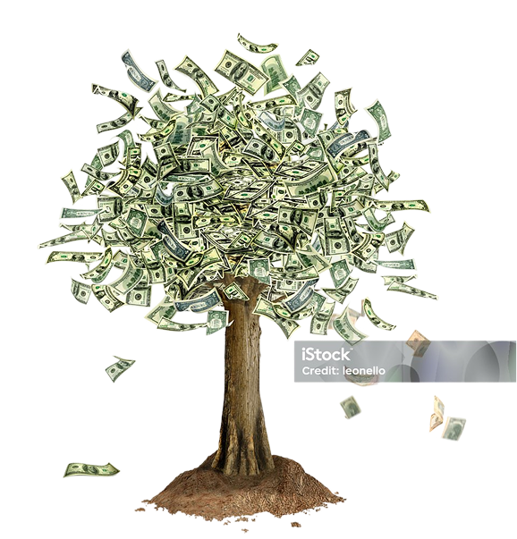 open a corporate account