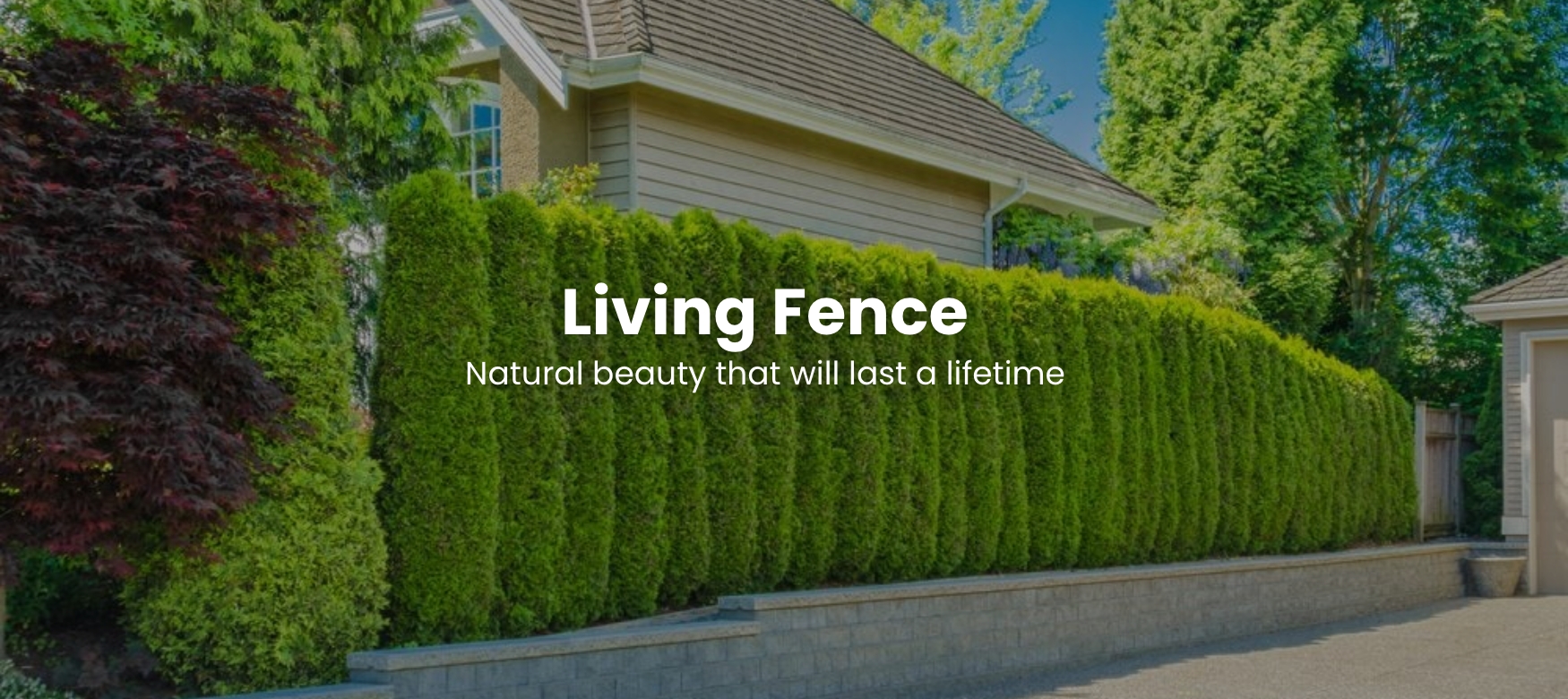 Living Fence banner