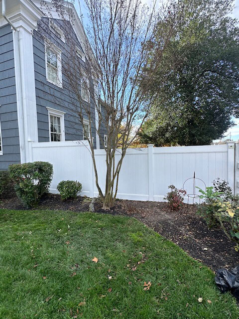 Vertical Fence