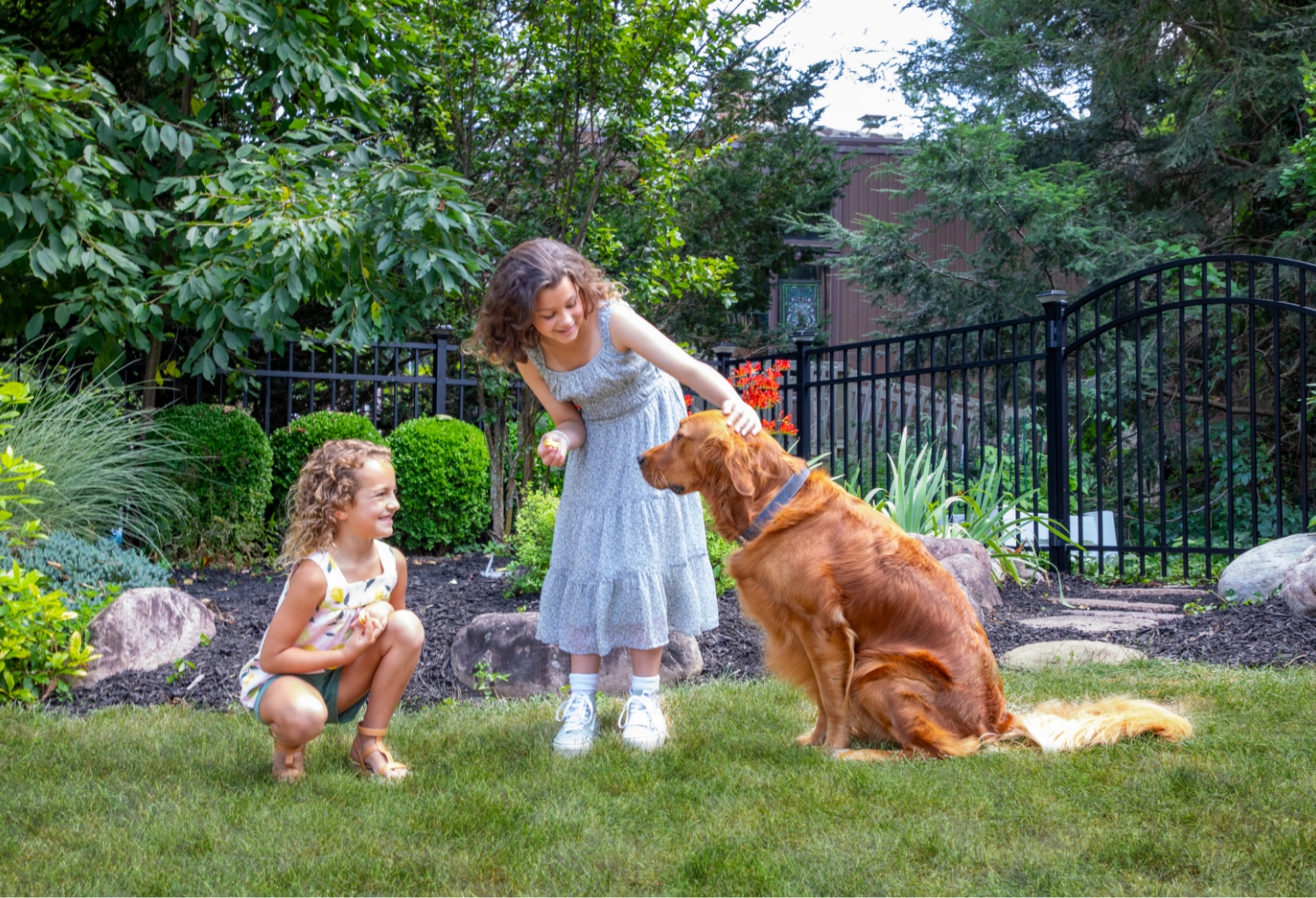 Kids & Pets Fence Image