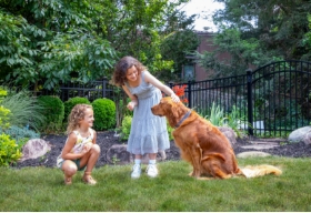 Kids & Pets Fence Thumbnail