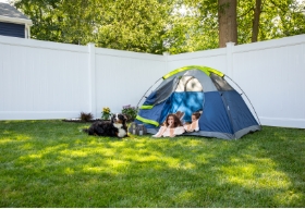 Kids & Pets Fence Thumbnail