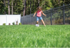 Kids & Pets Fence Thumbnail