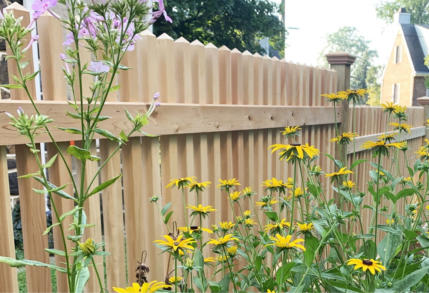 Picket Fence Image