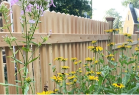 Picket Fence Thumbnail