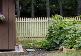Picket Fence Thumbnail