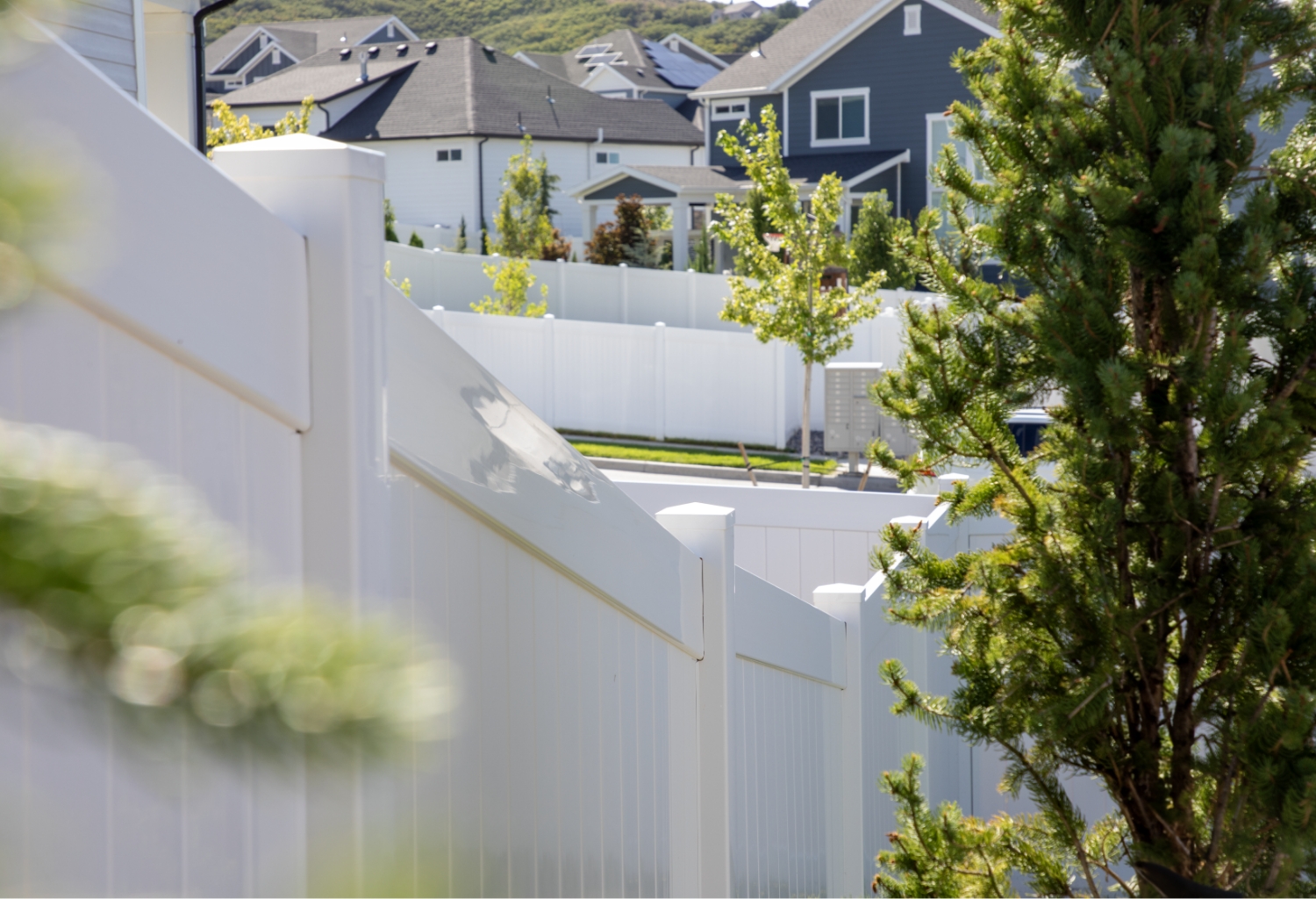 Privacy Fence Image