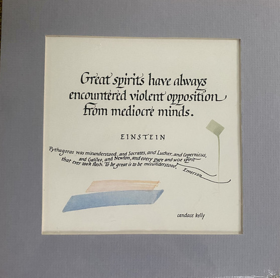 "Great spirits have always encountered violent opposition from mediocre minds." Einstein