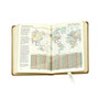 World Travel Journal - maps