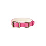 Small Dog Collar Pink Leather