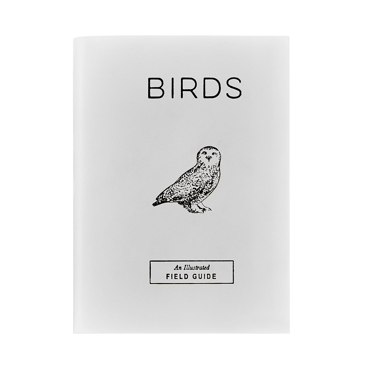 booksbirds1.jpg