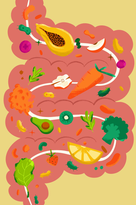 Brain nutrition &mdash; the essential guide to feeding your mind