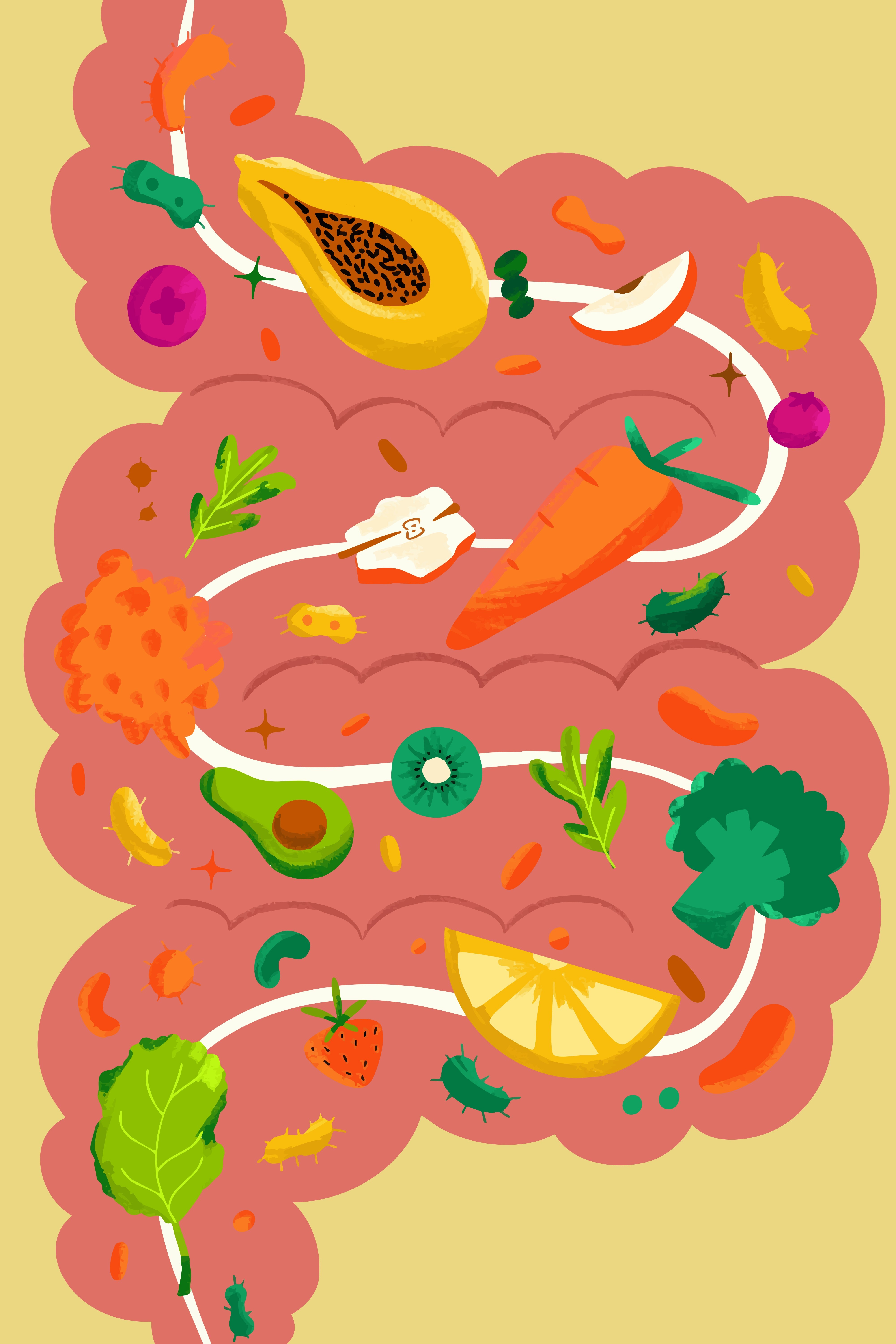 Brain Nutrition Guide