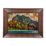 Sequoia Frame