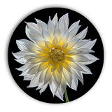 Metal circle print with hanger. Photography by Tim Lutz