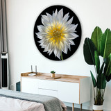 Metal circle print with hanger, superimposed in bedroom with white walls and plant. Macro flower dahlia photography by Tim Lutz. 