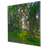 Silver Floating Frame. Photography by Nick Orpin-Wilkes