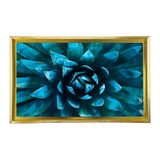 Gold Shadow frame. Photography of a Blue Agave Cactus. 