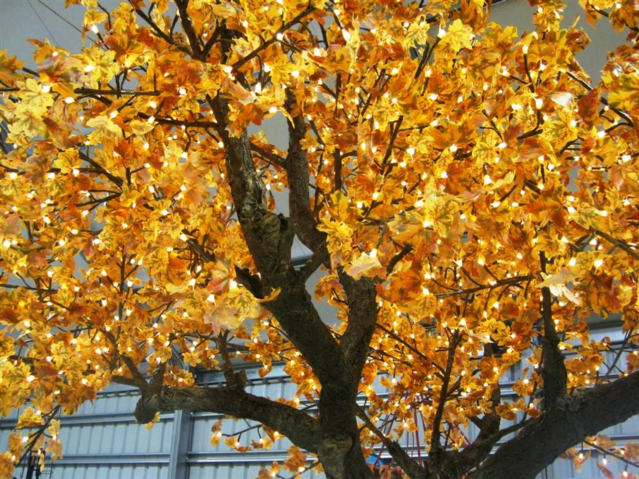 Illuminated Tree Grow Master Heatherton