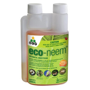Eco-neem 100ml concentrate