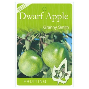 Apple Semi-Dwarf - Granny Smith