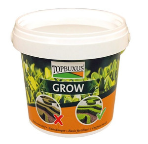 TOPBUXUS Grow TOPBUXUS Grow