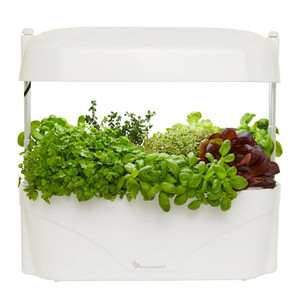 Vegepod - Kitchen Garden - SPECIAL PRICE Vegepod - Kitchen Garden - SPECIAL PRICE