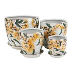 Yellow Blossom Pot & Saucer Yellow Blossom Pot & Saucer