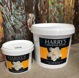 Harry's Gardenia Food Harry's Gardenia Food