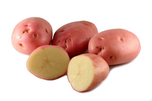 Seed potatoes