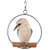 25cm Kookaburra in Ring