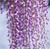 Wisteria - Double Japanese