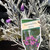 Eremophila - Nivea