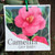 Camellia Hybrid - Varieties