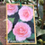 Camellia Japonica - Varieties