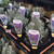 Lavender - English