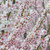Prunus Elvins - Flowering Plum
