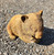 Concrete Wombat Rust