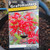 Grevillea Standard - Inferno