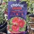 CARNIVAL LIGHTS™ Anisodontea - Varieties