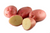 Seed potatoes